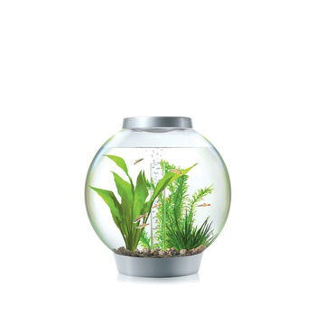 Set complet acvariu BiOrb CLASSIC 15 (cu sistem de iluminare MCR, cadru argintiu) si ornamente Set complet acvariu BiOrb CLASSIC 15 (cu sistem de iluminare MCR, cadru argintiu) si ornamente