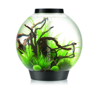 Acvariu BiOrb CLASSIC 105 (cu sistem de iluminare MCR si cadru negru) Acvariu BiOrb CLASSIC 105 (cu sistem de iluminare MCR si cadru negru)