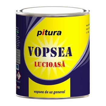Vopsea Pitura maro inchis 0.75 l Vopsea Pitura maro inchis 0.75 l