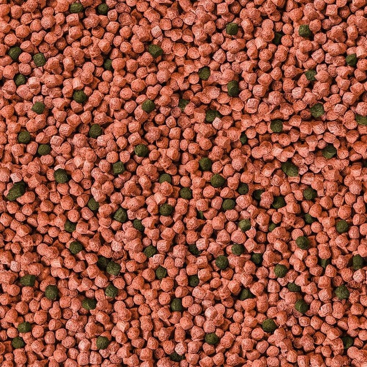 Táplálék Koi halaknak, Sera, Junior, Probiotikum, 500g, Vörös