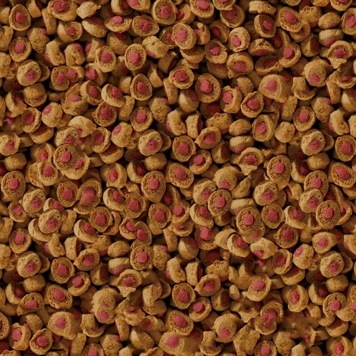 Hrana pentru pesti Koi, Sera, Imunizant, 1kg, Maro