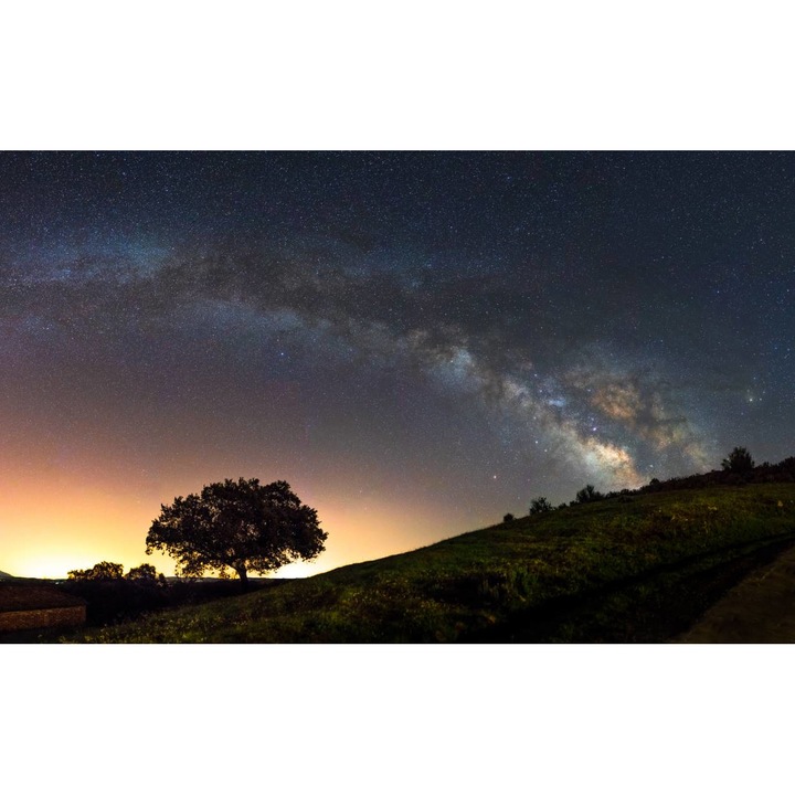 Tablou Canvas - Calea Lactee Si Pomul Singuratic, 50x35 cm