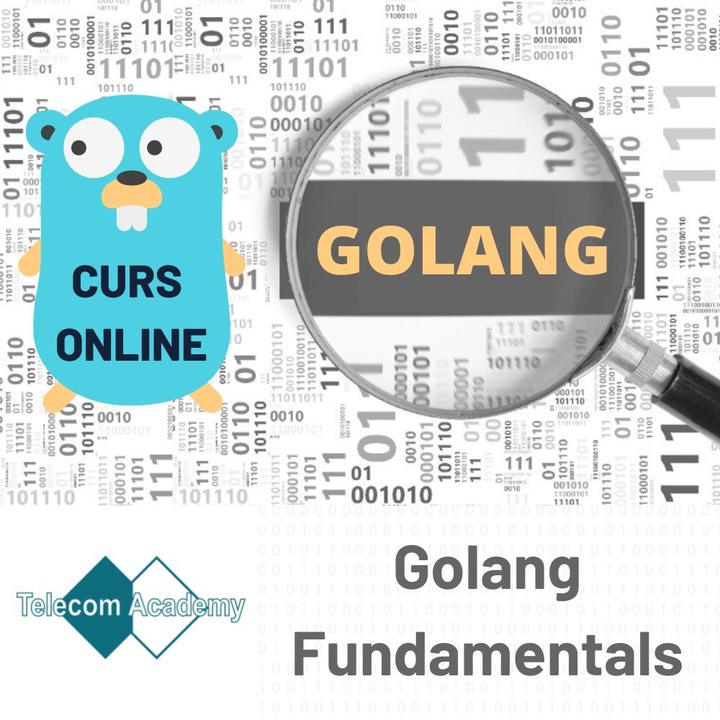 Curs Golang Fundamentals, Telecom Academy, online, actualizat in 2022