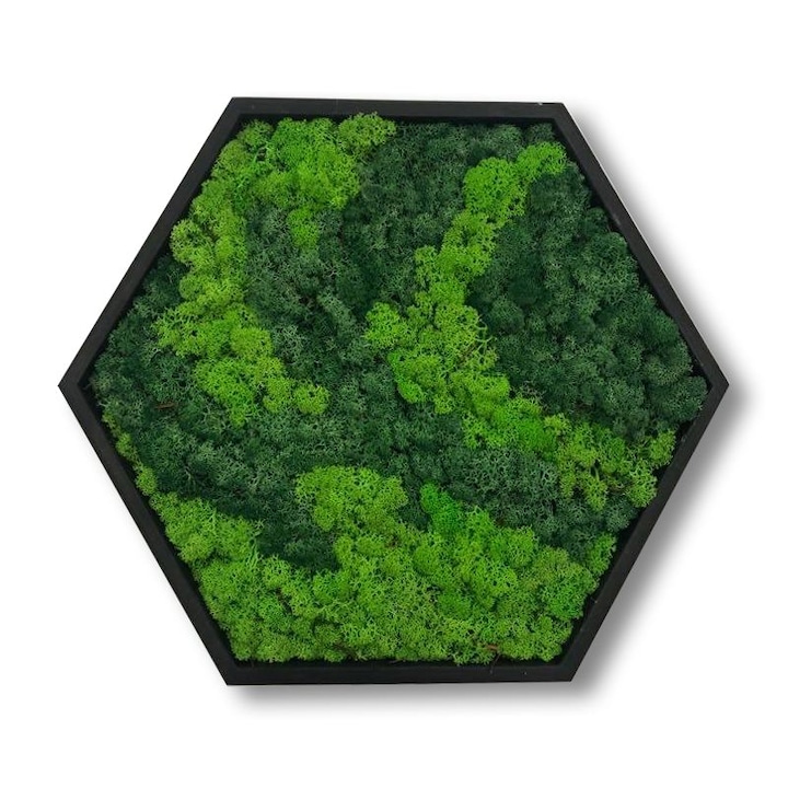 OEM Hatszögletű festmény stabilizált zuzmóval, természetes moha, fa keret, 20 cm x 16 cm, világoszöld / sötétzöld