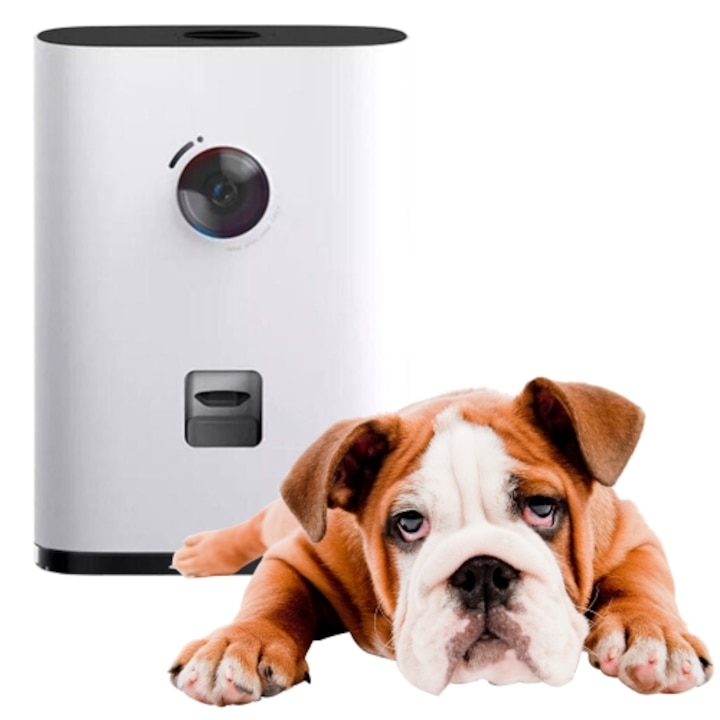 Online WiFi kisállat kamera + kutya, cica tápadagoló - mobil alkalmazással