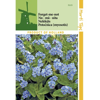 Seminte Myosotis - nu-ma-uita Seminte Myosotis - nu-ma-uita