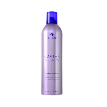 Fixativ Alterna Caviar Working 500ml Fixativ Alterna Caviar Working 500ml