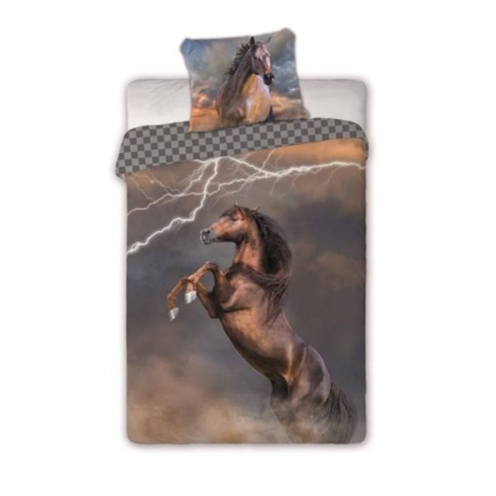 Lenjerie de pat, Faro, Bumbac, 160 x 200 cm, Multicolor