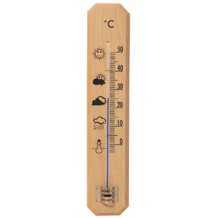 Termometru de camera tip 2009, natural