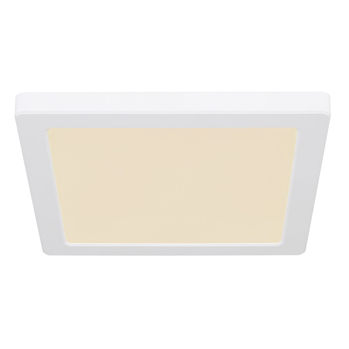 Плафон LASSE 12380-18W Globo Lighting