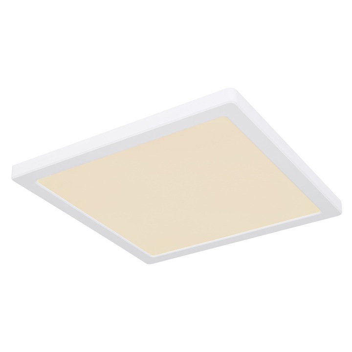 Плафон LASSE 12380-24W Globo Lighting