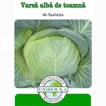 Cultivarea Verzei Pentru Varza Extratimpurie Si Timpurie Blog Ul