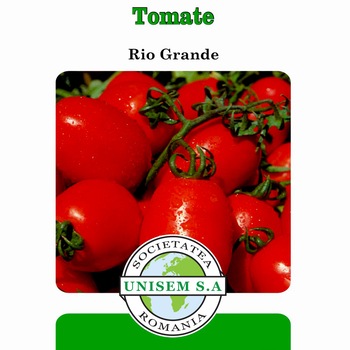 Seminte tomate Rio Grande 10g Seminte tomate Rio Grande 10g