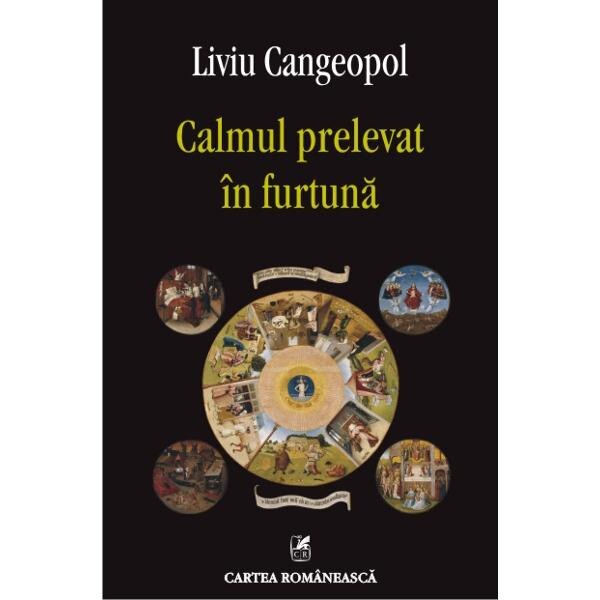 Calmul prelevat in furtuna - Liviu Cangeopol
