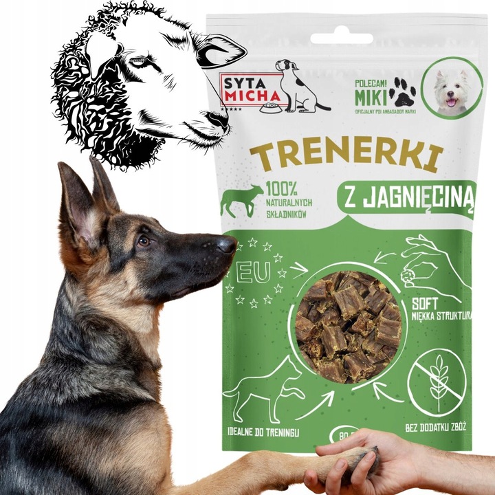 Recompense antrenament caini, Holista, Miel, 80 g