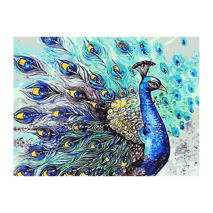 Festék szám szerint Foska Peacock, 40 x 50 cm
