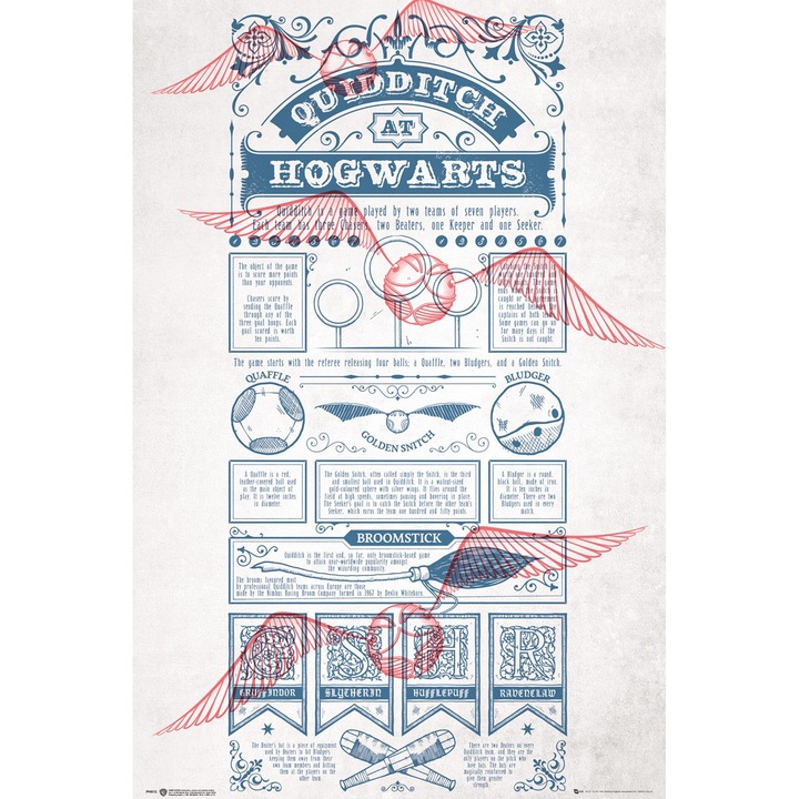 HARRY POTTER Poster Ravenclaw (91.5x61cm)