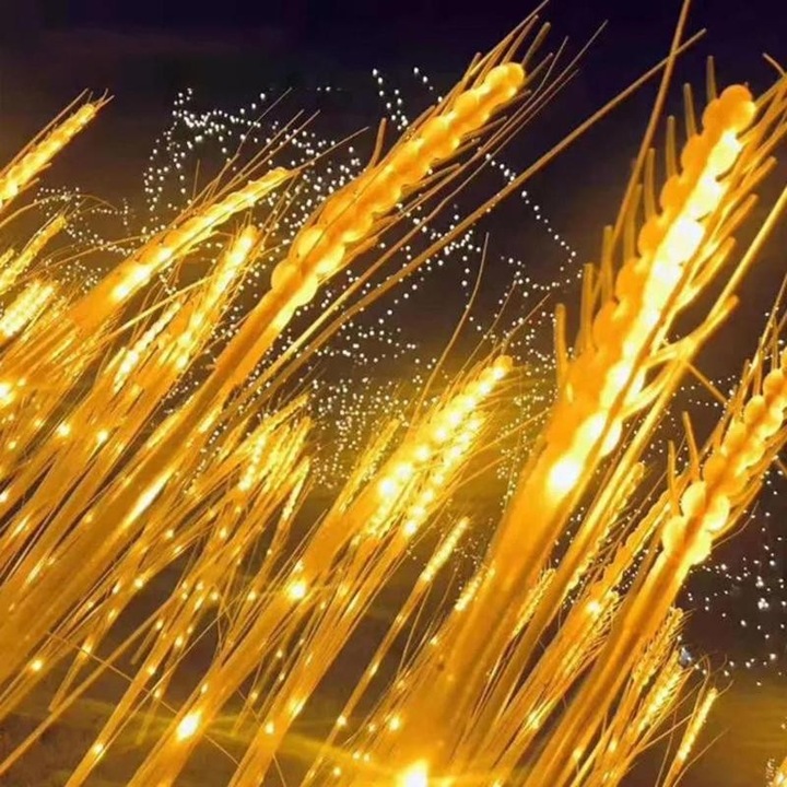 Lumina solara LED tip Spic de grau, inaltime 80 cm, pentru gradina, OEM