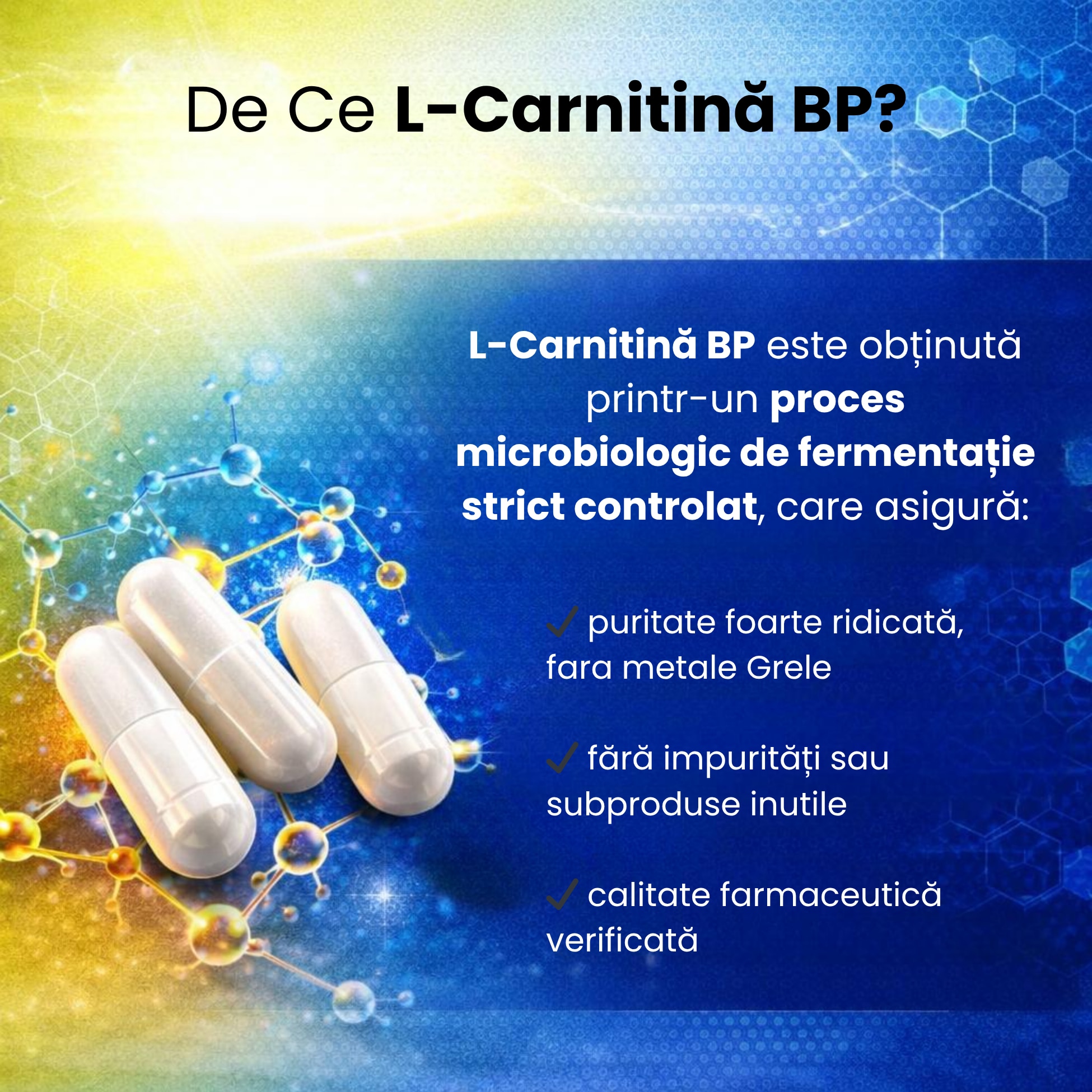 l carnitine balkan pharmaceuticals L-CARNITINE BP 60 Caps | Fat Metabolism & Energy Support Supliment alimentar L-Carnitina BP Balkan