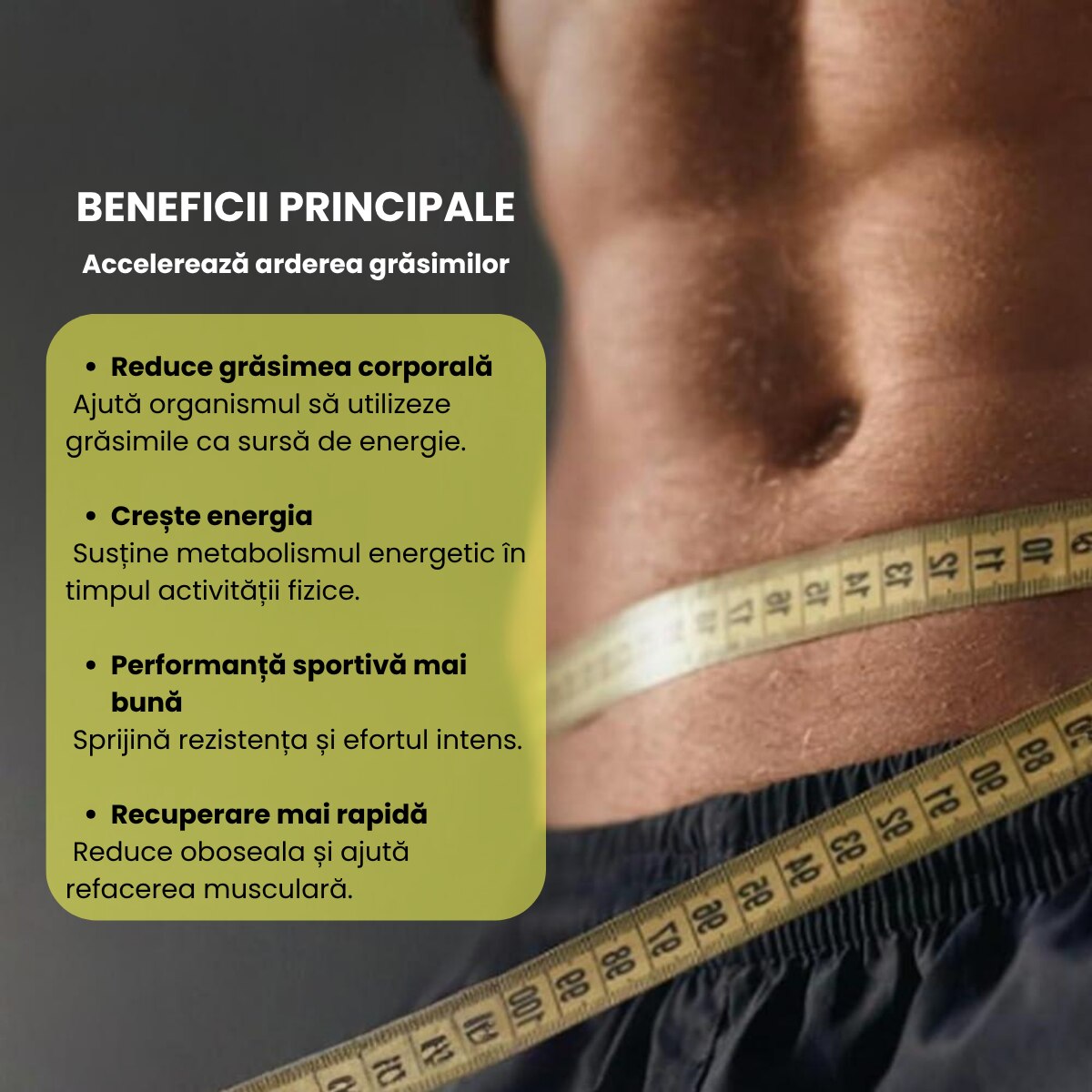 Supliment alimentar L-Carnitina BP Balkan Pharmaceuticals, 60 capsule, L- Carnitine + L-Tartrate, Sustine arderea grasimilor, metabolism energetic, energie pentru antrenamente, reducerea oboselii, Vitamine B1 si B6, 38.7 g