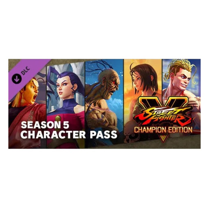 Street Fighter V - Season 5 Character Pass (PC - Steam elektronikus játék licensz)