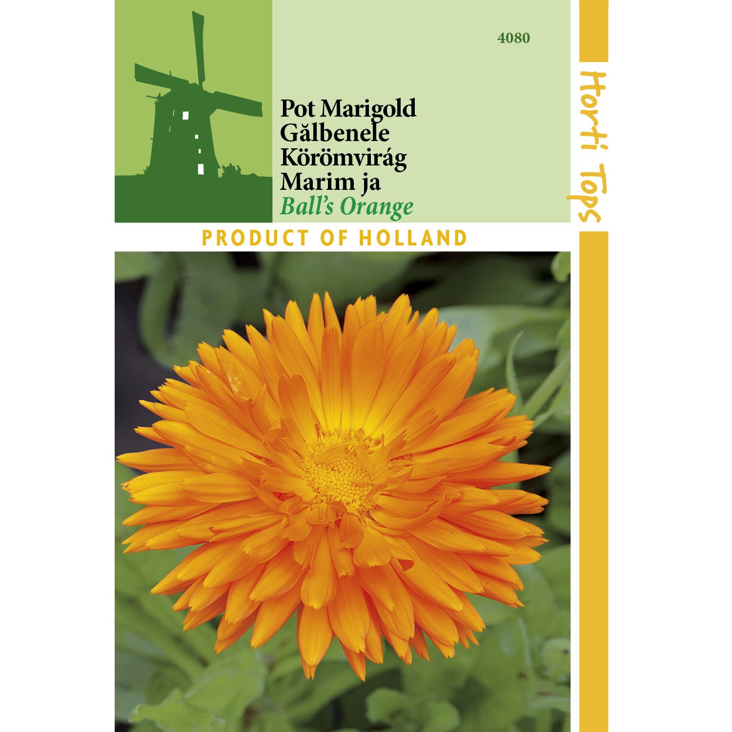 Seminte Calendula Officinalis Balls Orange