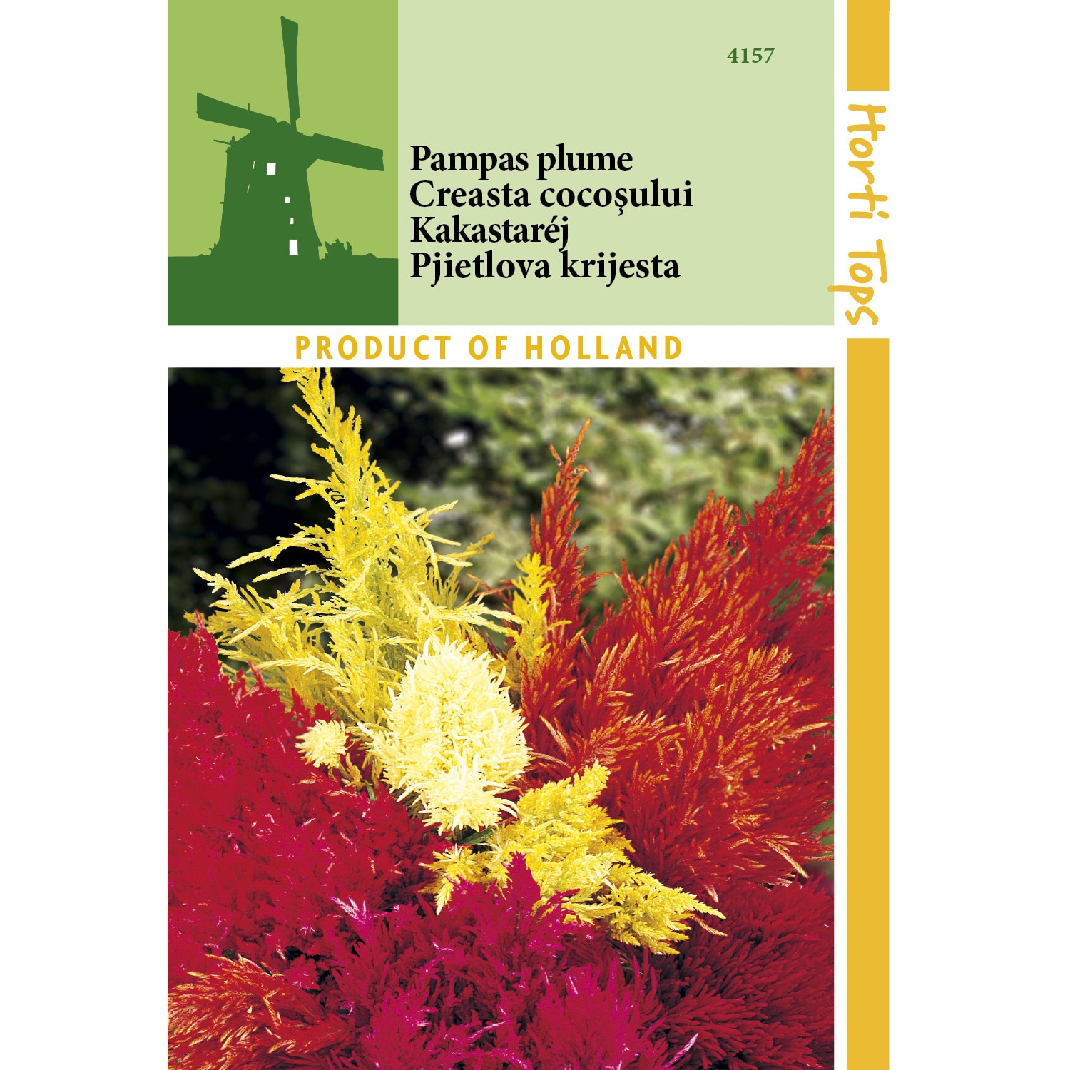 Seminte Celosia Plumosa - creasta cocosului plumoasa