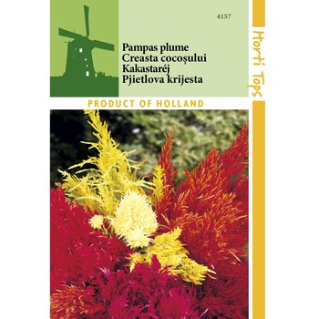 Seminte Celosia Plumosa - creasta cocosului plumoasa Seminte Celosia Plumosa - creasta cocosului plumoasa