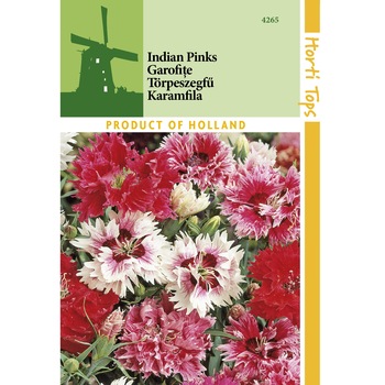 Seminte Dianthus Chinensis Double Mix - garofite Seminte Dianthus Chinensis Double Mix - garofite