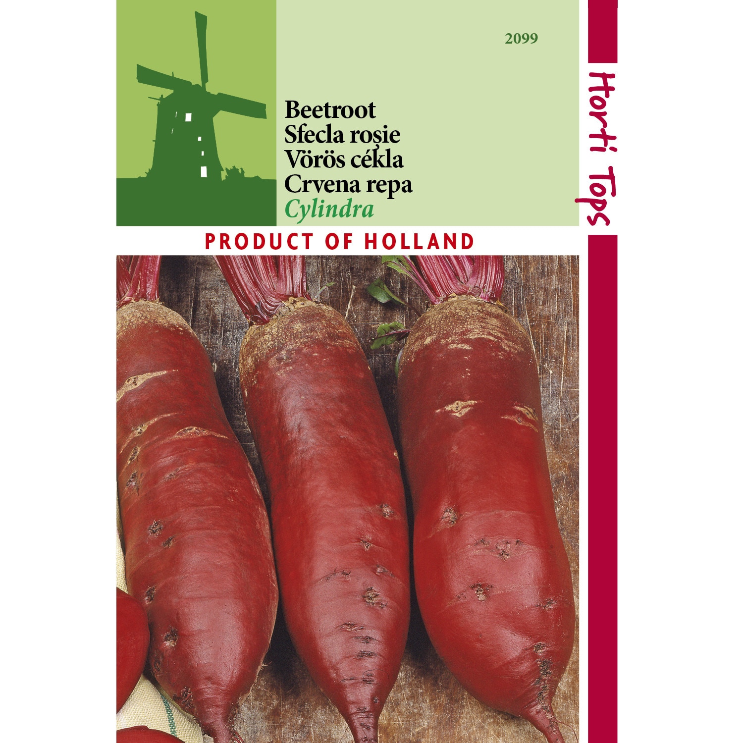 Seminte sfecla rosie Cylindra 5g