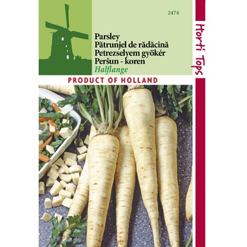 Seminte patrunjel radacina Halflange 5g Seminte patrunjel radacina Halflange 5g