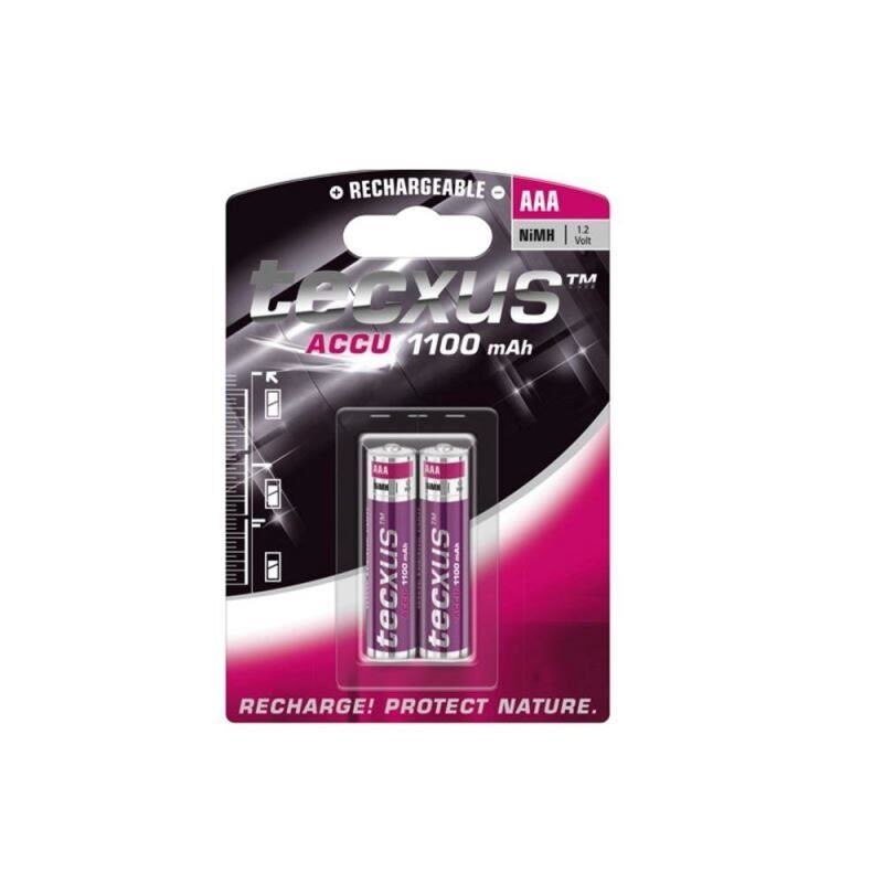 Set 2 acumulatori Tecxus TCM 1100AAA, 1100mA, Ni-Mh, 2 buc/blister
