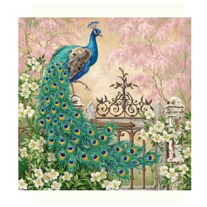 Prosoape de hartie si servetele