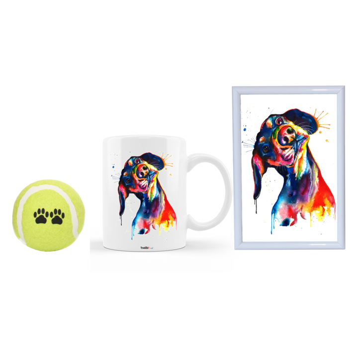 Set cadou personalizat pentru iubitorii de animale, cana ceramica alba cu imagine caine rasa Dachshund colorat, rama foto 10 x 15 cm si minge pentru caini