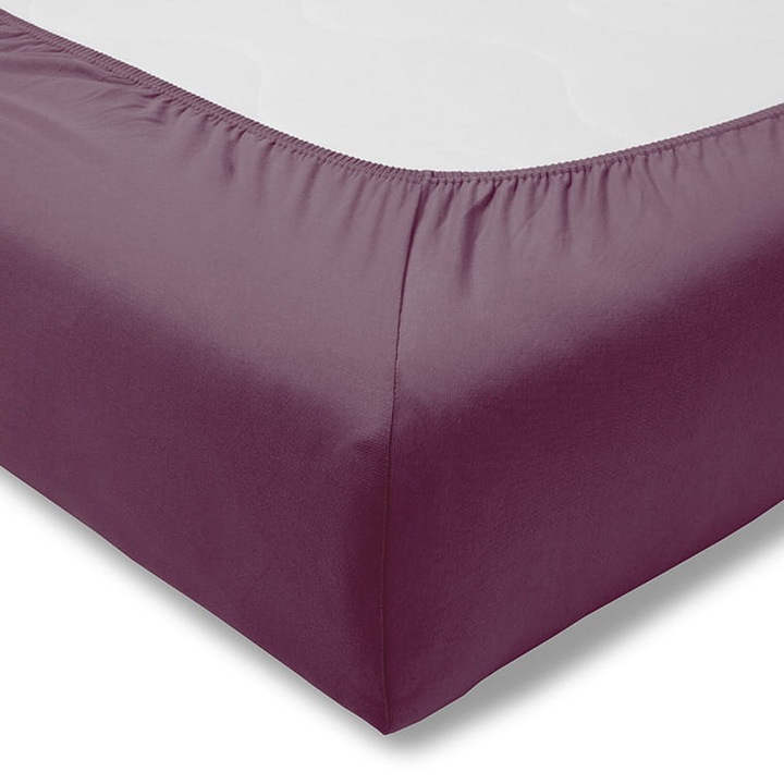 Cearceaf de pat cu elastic Estella, Bumbac, 120x200 cm, Violet