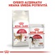 Royal Canin Fit32 Adult száraz macskaeledel, mérsékelt fizikai aktivitás, mennyiség 400 g, optimális táplálkozási profil