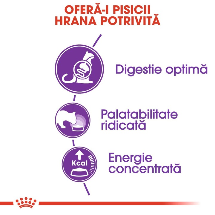 Royal Canin Sensible Adult száraz macskaeledel, optimális emésztés, mennyiség 400 g, optimális emésztés