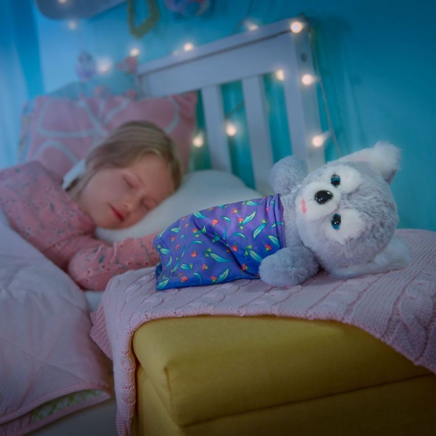 Little Live Pets Cozy Dozys Kip der Koala (Gebraucht) in Frick für CHF 20 – mit Lieferung auf