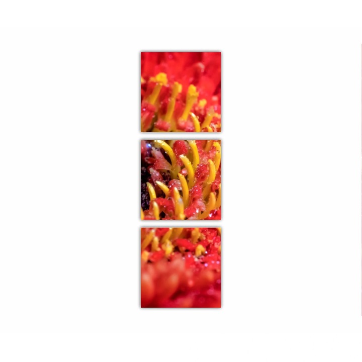 3 db-os Multicanvas Festmény készlet, Gerbera virág 0005, UV nyomat PREMIUM COTTON vászonra és fa keretre feszítve, 40X120 cm