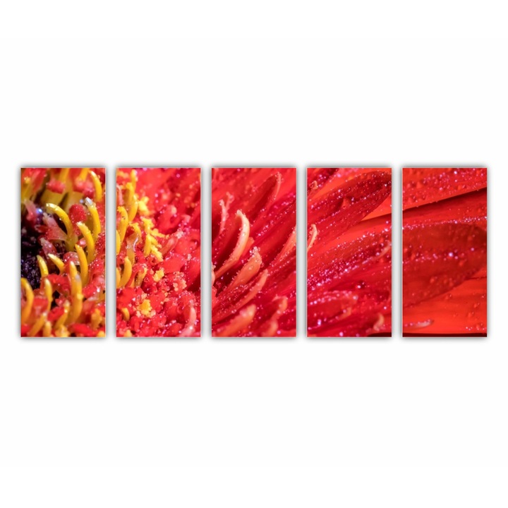 5 db-os Multicanvas Festmény készlet, Gerbera virág 0005, UV nyomattal PREMIUM COTTON vászonra és fa keretre feszítve, 200X80 cm