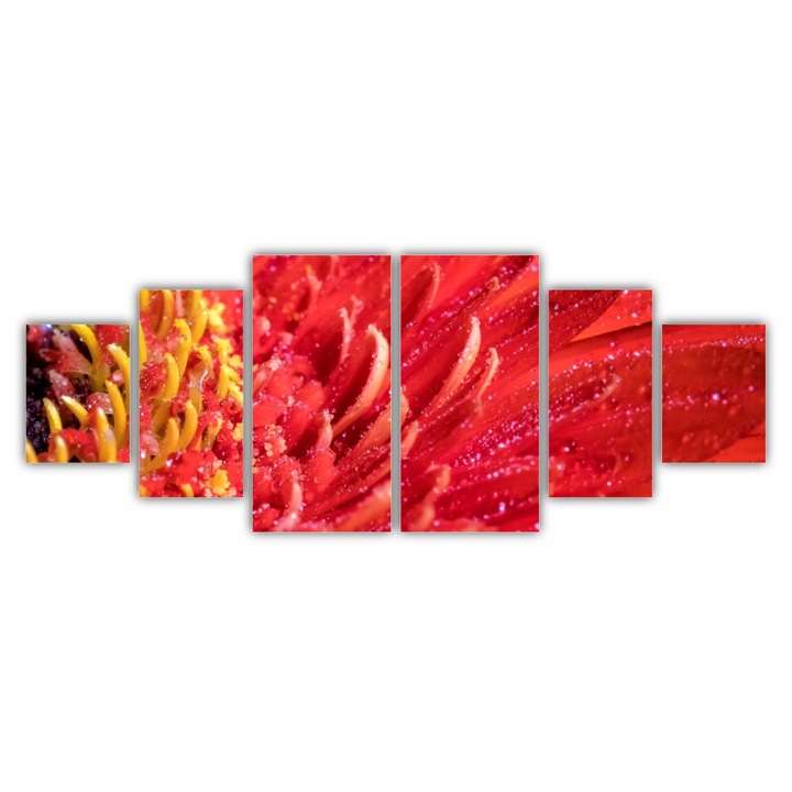 6 db-os Multicanvas Festmény készlet, Gerbera virág 0005, UV nyomat PREMIUM COTTON vászonra és fa keretre feszítve, 200X80 cm