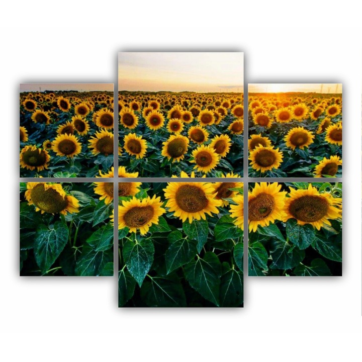 Set 6 Tablouri Multicanvas, Camp de floarea soarelui 2 0072, Tipar UV pe panza PREMIUM din BUMBAC (340 g/mp) si intins pe sasiu din lemn (Profil 2X3.6cm), Total D. 100X80 cm