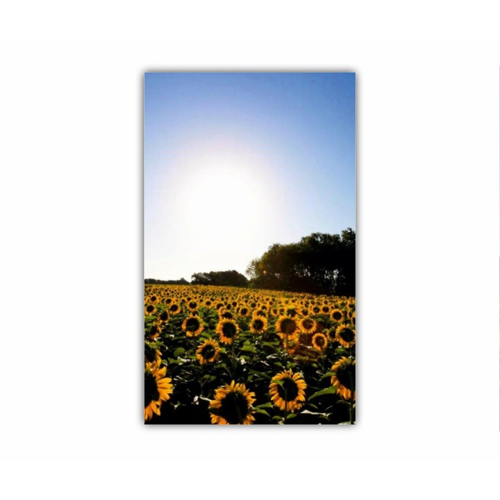 Tablou Canvas, 1 piesa, Camp de floarea soarelui 6 0076, Tipar UV pe panza PREMIUM din BUMBAC (340 g/mp) si intins pe sasiu din lemn (Profil 2X3.6cm), 90X150 cm