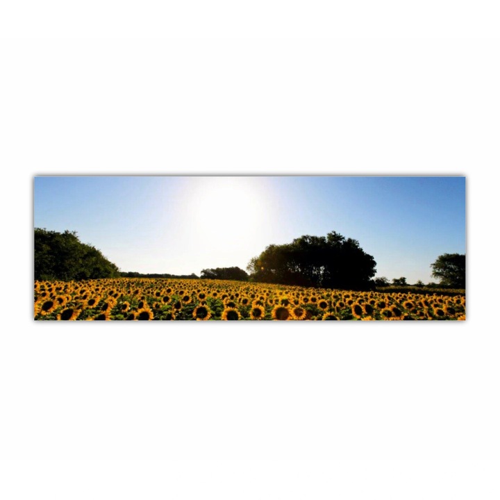 Tablou Canvas, 1 piesa, Camp de floarea soarelui 6 0076, Tipar UV pe panza PREMIUM din BUMBAC (340 g/mp) si intins pe sasiu din lemn (Profil 2X3.6cm), 90X30 cm