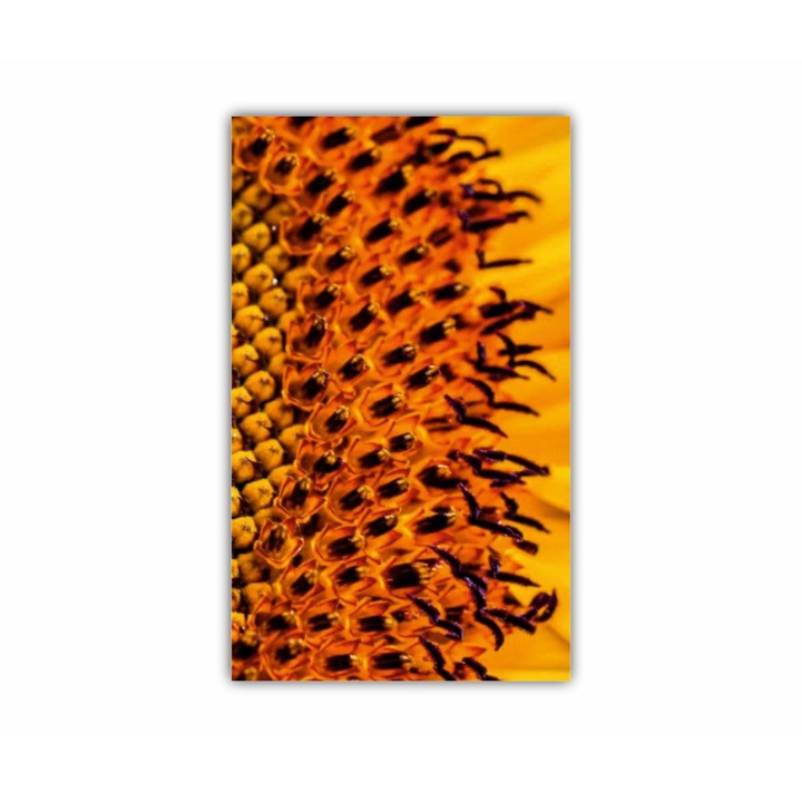 Tablou Canvas, 1 piesa, Floarea soarelui 3 0080, Tipar UV pe panza PREMIUM din BUMBAC (340 g/mp) si intins pe sasiu din lemn (Profil 2X3.6cm), 90X150 cm