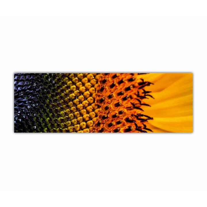 Tablou Canvas, 1 piesa, Floarea soarelui 3 0080, Tipar UV pe panza PREMIUM din BUMBAC (340 g/mp) si intins pe sasiu din lemn (Profil 2X3.6cm), 90X30 cm