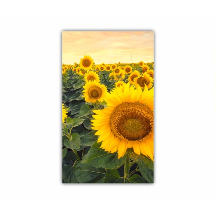 Tablou Canvas, 1 piesa, Floarea soarelui 5 0082, Tipar UV pe panza PREMIUM din BUMBAC (340 g/mp) si intins pe sasiu din lemn (Profil 2X3.6cm), 90X150 cm