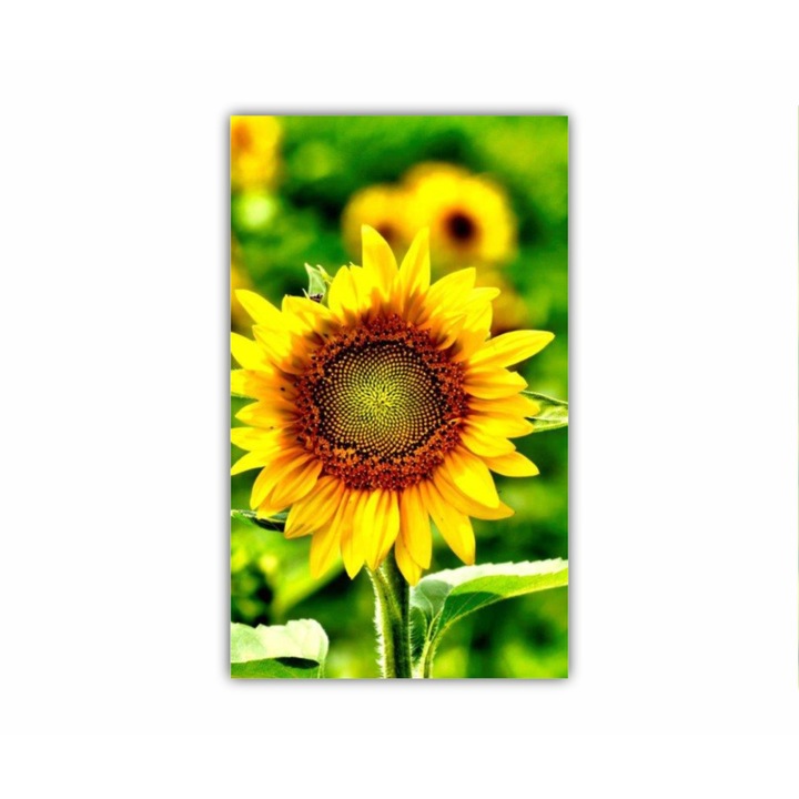 Tablou Canvas, 1 piesa, Floarea soarelui 7 0084, Tipar UV pe panza PREMIUM din BUMBAC (340 g/mp) si intins pe sasiu din lemn (Profil 2X3.6cm), 90X150 cm
