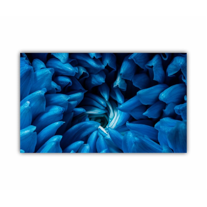 Tablou Canvas, 1 piesa, Crizantema 0292, Tipar UV pe panza PREMIUM din BUMBAC (400 g.mp) si intins pe sasiu din lemn, Profil 2X3.6cm, 100X60 cm