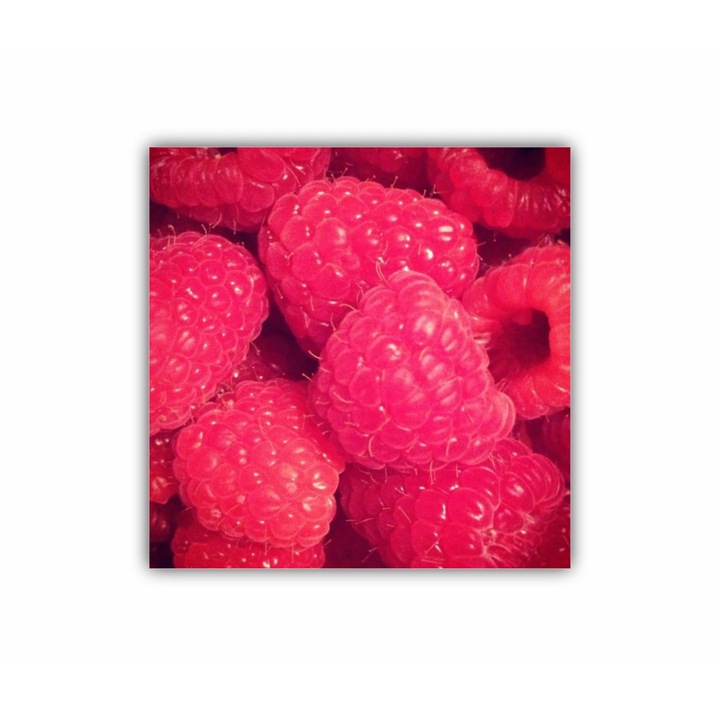 Vászonfestmény, 1 db, Raspberry 0319, UV nyomat PREMIUM COTTON vászonra és fa keretre feszítve, 30X30 cm